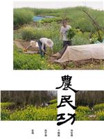 农民功